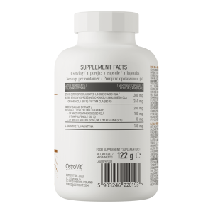 OstroVit CLA + Green Tea + L-carnitine 90 caps