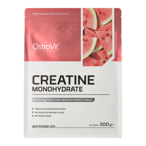 OstroVit Creatine 300 g
